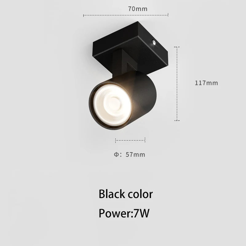 48426517627226|48426517692762|48426517889370