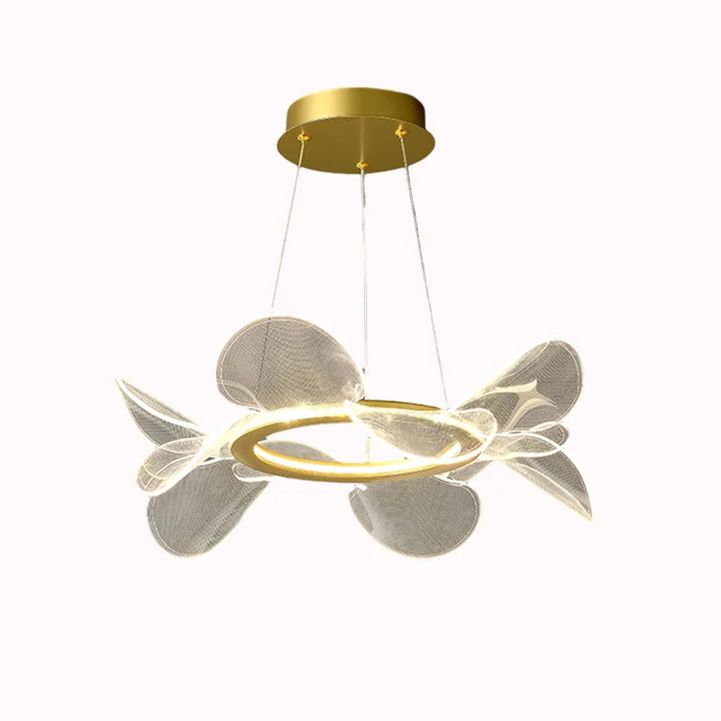 lustre-en-acrylique-transparent-avec-anneau-dor-gradation-variable-5.png