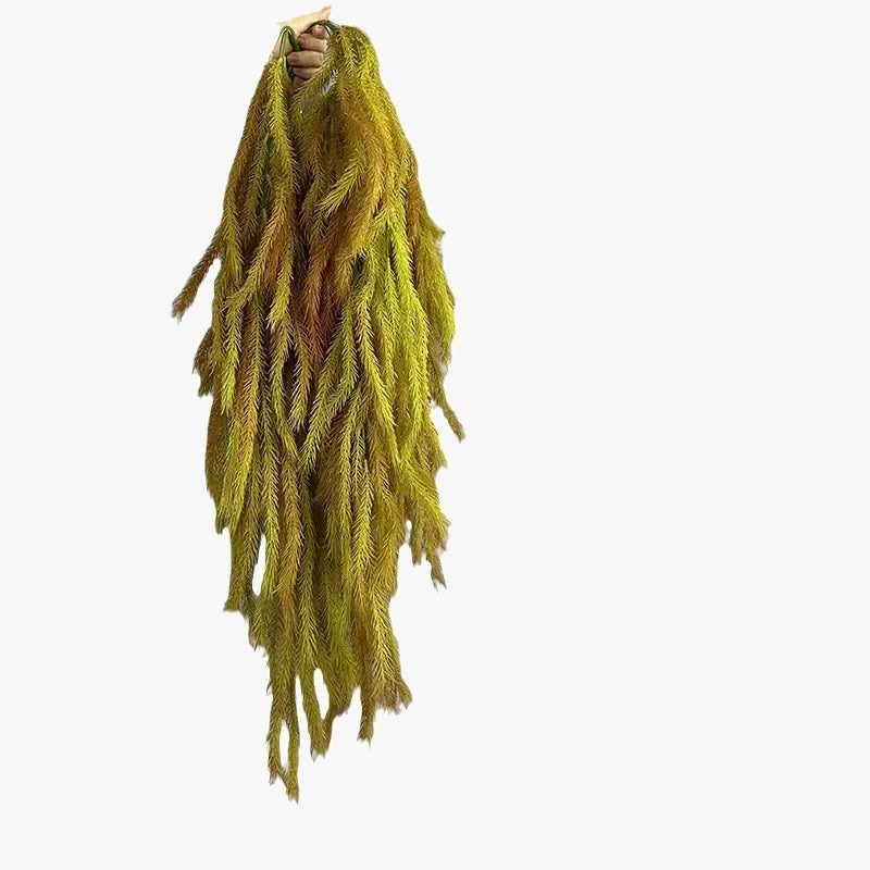 plante-artificielle-d-coration-vignes-et-foug-res-en-plastique-1.png