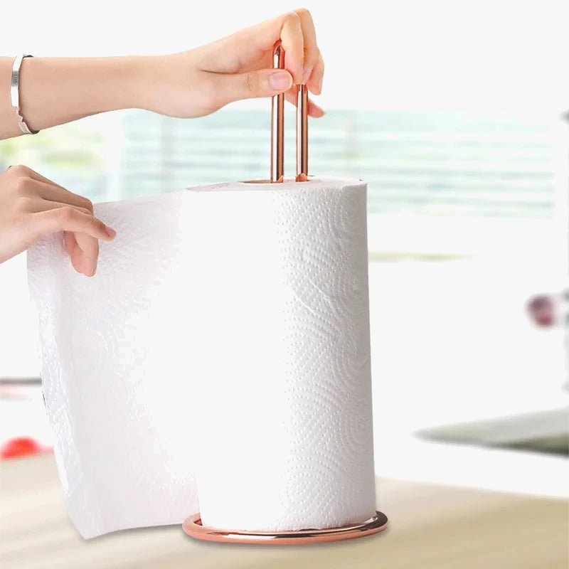 porte-rouleau-en-acier-inoxydable-pour-essuie-tout-et-serviettes-4.png