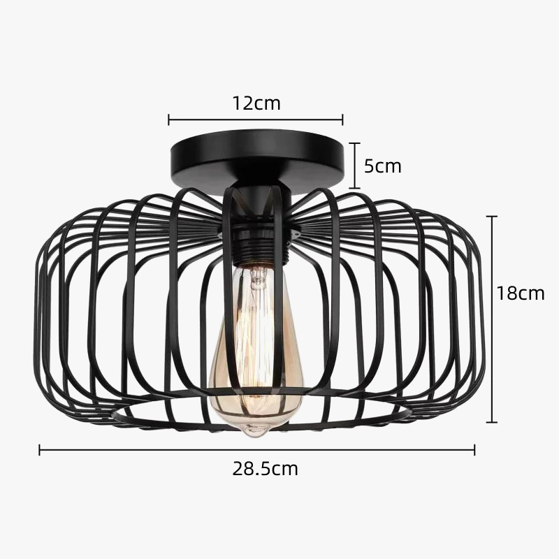 simple-cage-oiseaux-plafonnier-luminaire-d-coratif-1.png