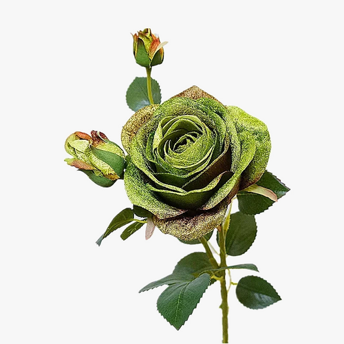 simulation-de-roses-en-velours-pour-d-coration-l-gante-0.png