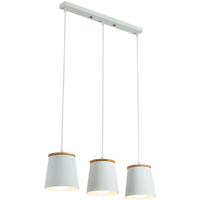 Creative Led moderne suspension blanc lampes suspendues barre en bois + suspension en métal Suspension pour lampe de salle à manger lumières de baisse