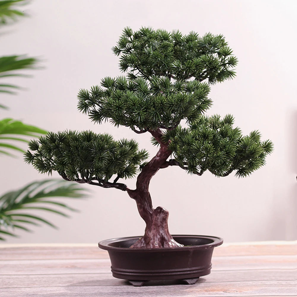 plante en pot décoratif style bonsaï pour maison ou bureau - vue 5 sur 5