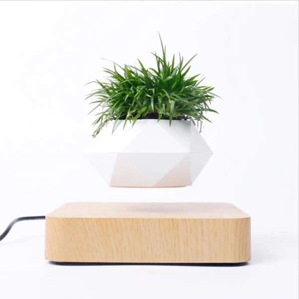 pot de bonsaï à lévitation magnétique pour décoration spéciale - vue 9 sur 10