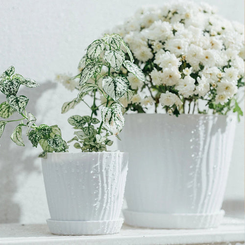 pot de fleurs haut simple en plastique à ondulations multicolore