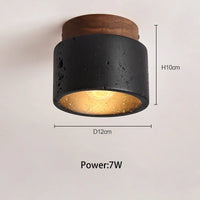 plafonnier led noir pierre