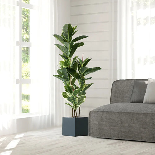 ficus artificiel réaliste pour décoration intérieure et extérieure
