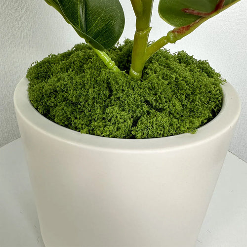 pot décoratif nordique en plastique et céramique pour intérieur