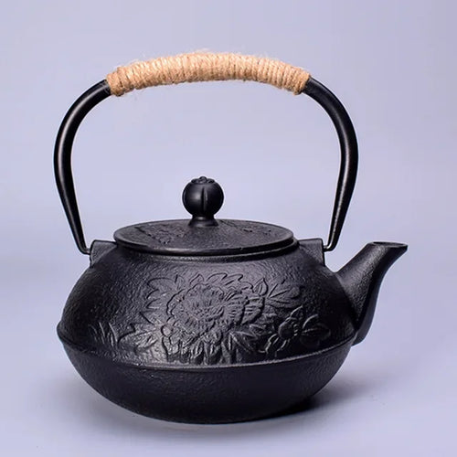 Théière japonaise en fonte avec infuseur kung fu