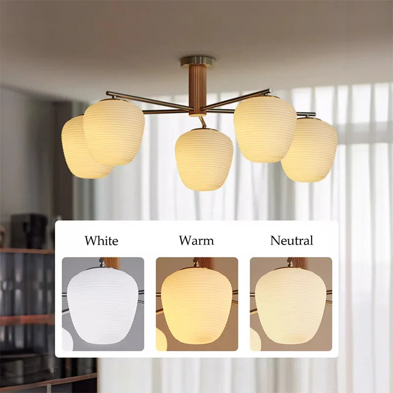 Walnut Wood Brass Fruit Glass, Wabi-sabi Modern Simple style, Chandelier light for Living room, Bedroom, Dining room, Study - vue 6 sur 12