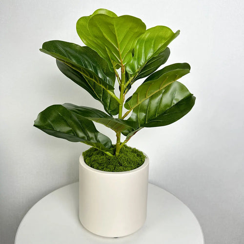 pot décoratif nordique en plastique et céramique pour intérieur
