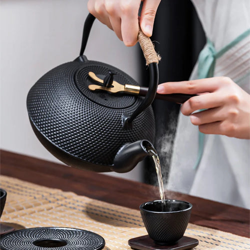 bouilloire fonte style kung fu chinois avec filtre