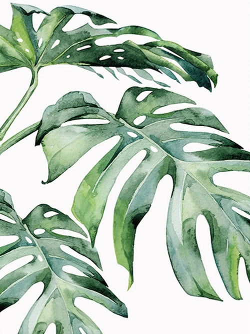 peinture diamant 5D plante verte broderie mosaïque décoration murale