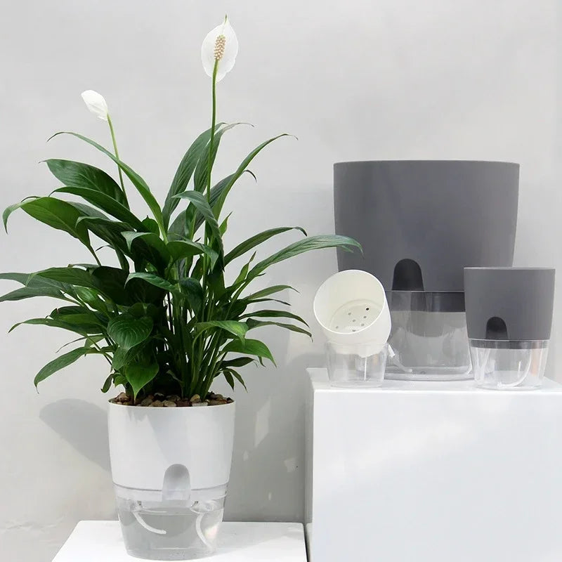 pot de fleurs auto-arrosant en plastique pour plantes succulentes