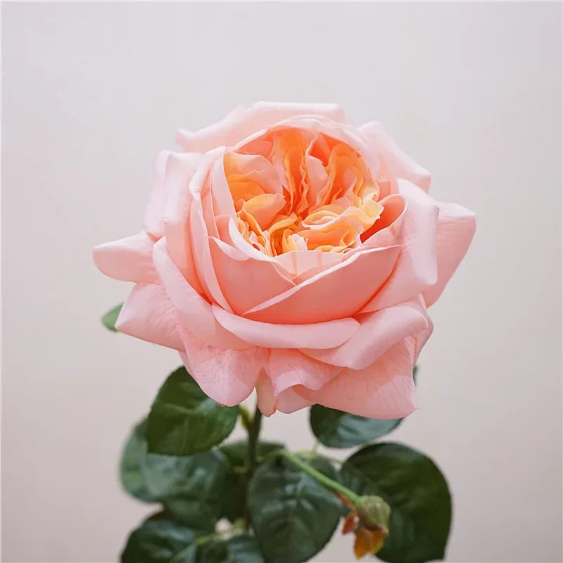 branche de rose artificielle pour un cadeau romantique et décoratif - vue 7 sur 12