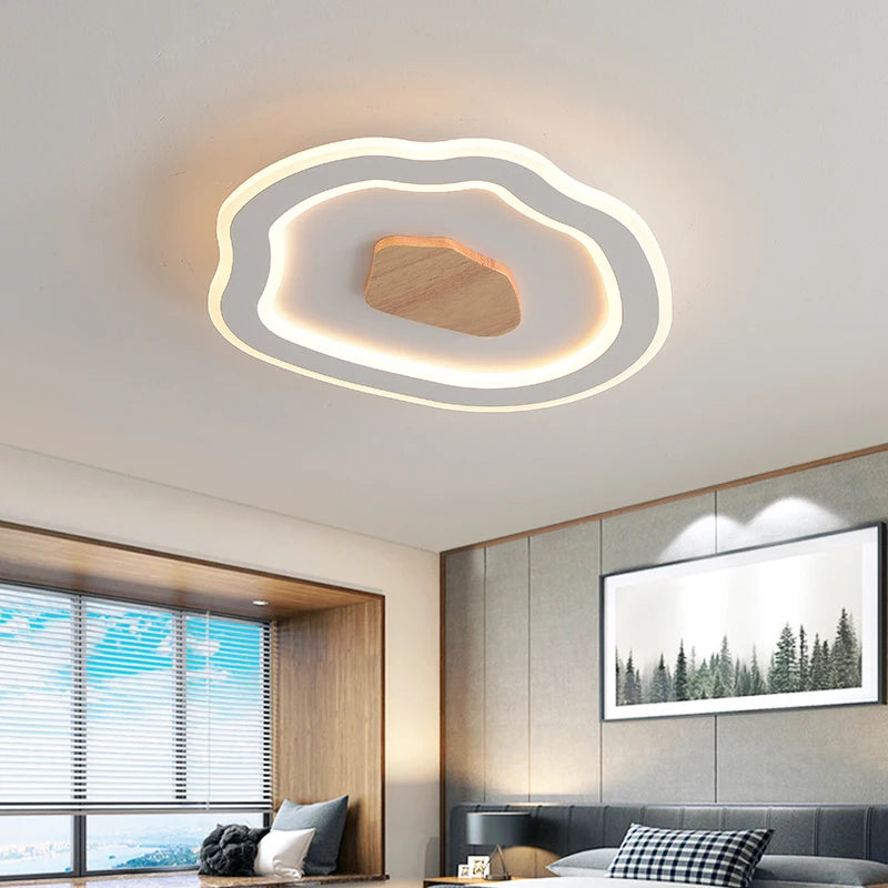 plafonniers nordiques modernes simples à led créatifs - vue 6 sur 12