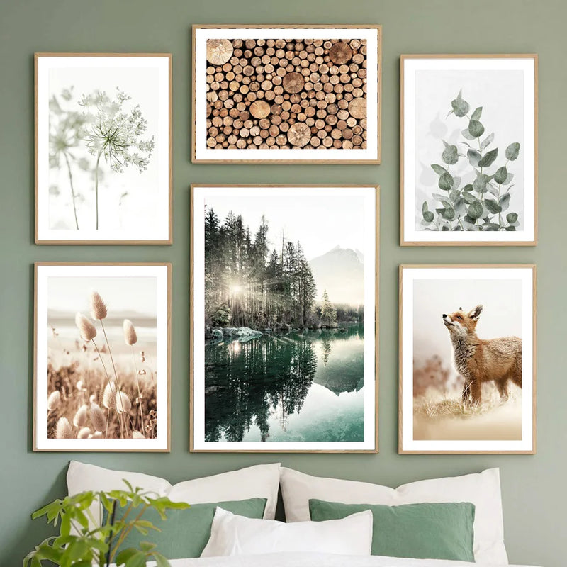 affiche paysage naturel matin lac plage herbe dentelle fleur renard