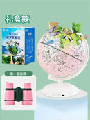 globe lumineux éducatif carte du monde décoration géographie