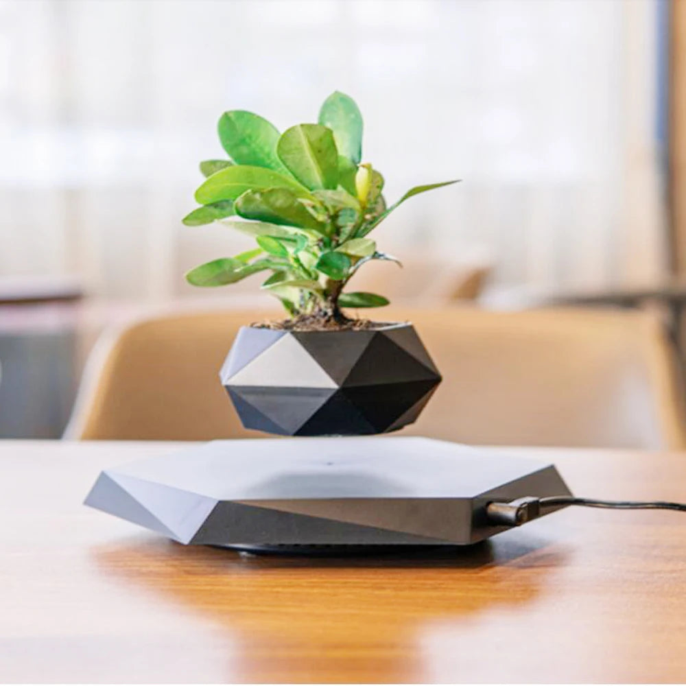 pot de bonsaï à lévitation magnétique pour décoration spéciale - vue 11 sur 10
