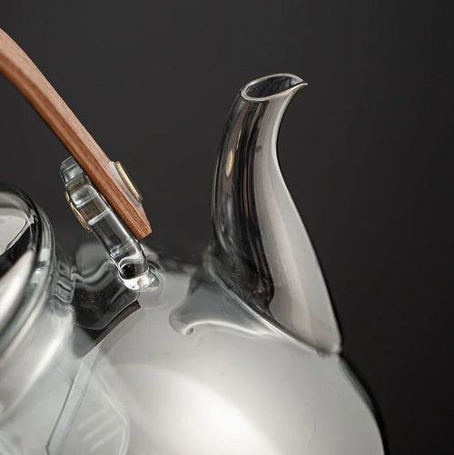 Bouilloire en verre resistante pour thé infusion moderne