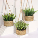 plantes artificielles eucalyptus romarin décoration verte en pot