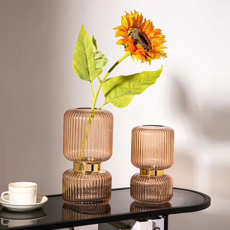 Vase en verre transparent pour fleurs et décoration hydroponique