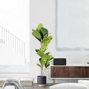 branches artificielles de ficus grandes feuilles pour décoration extérieure