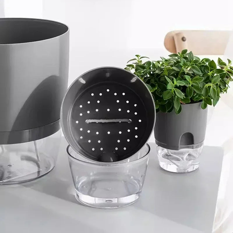 pot de fleurs auto-arrosant en plastique pour plantes succulentes