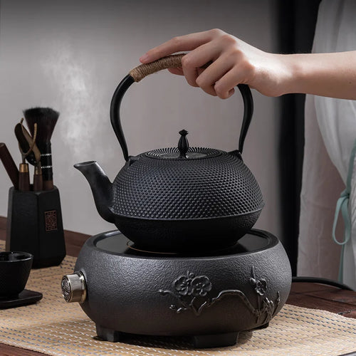 bouilloire fonte style kung fu chinois avec filtre