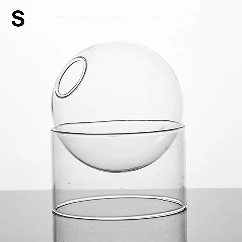 mini vase rond en verre pour décoration hydroponique écologique - vue 16 sur 18
