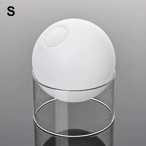 mini vase rond en verre pour décoration hydroponique écologique
