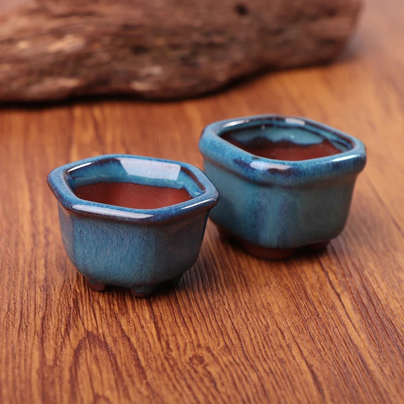 mini pots à bonsaï en céramique pour plantes succulentes artisanaux