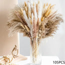 lot de 100 bouquets dherbe de pampa pour décoration bohème mariage