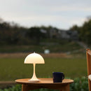 Lampes de table LED modernes en forme de champignon