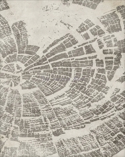 affiches abstraites sur les anneaux des arbres pour décoration intérieure