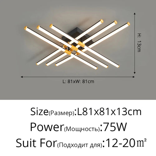 47308021170522