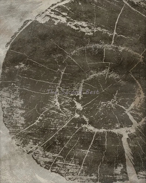 affiches abstraites sur les anneaux des arbres décorations murales artistiques