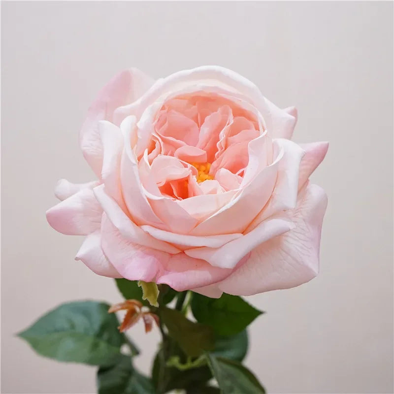 branche de rose artificielle pour un cadeau romantique et décoratif - vue 6 sur 12