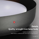 Plafonnier LED en forme de bois au design nordique moderne