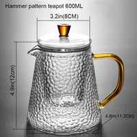 Theiere japonaise verre borosilicate infuseur service the