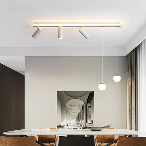 Plafonnier led acrylique projecteur spots