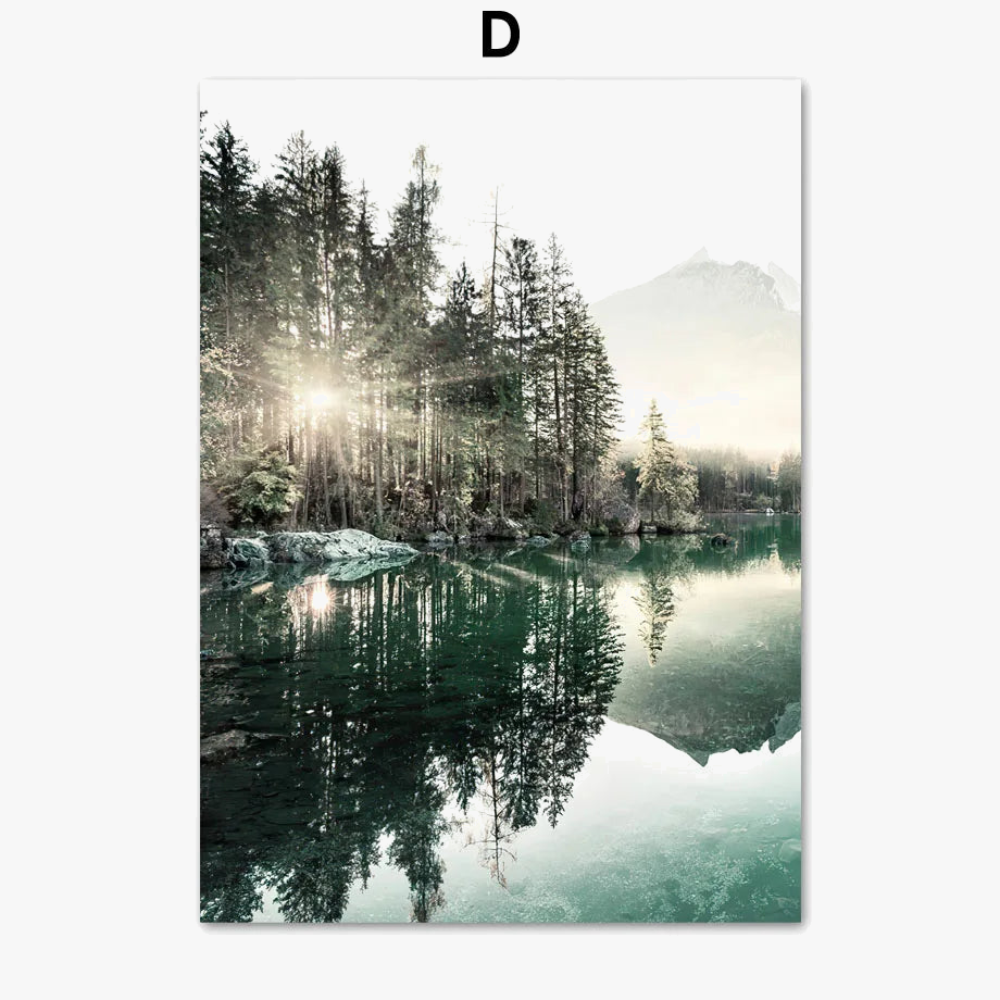 affiche-paysage-naturel-matin-lac-plage-herbe-dentelle-fleur-renard-6.png