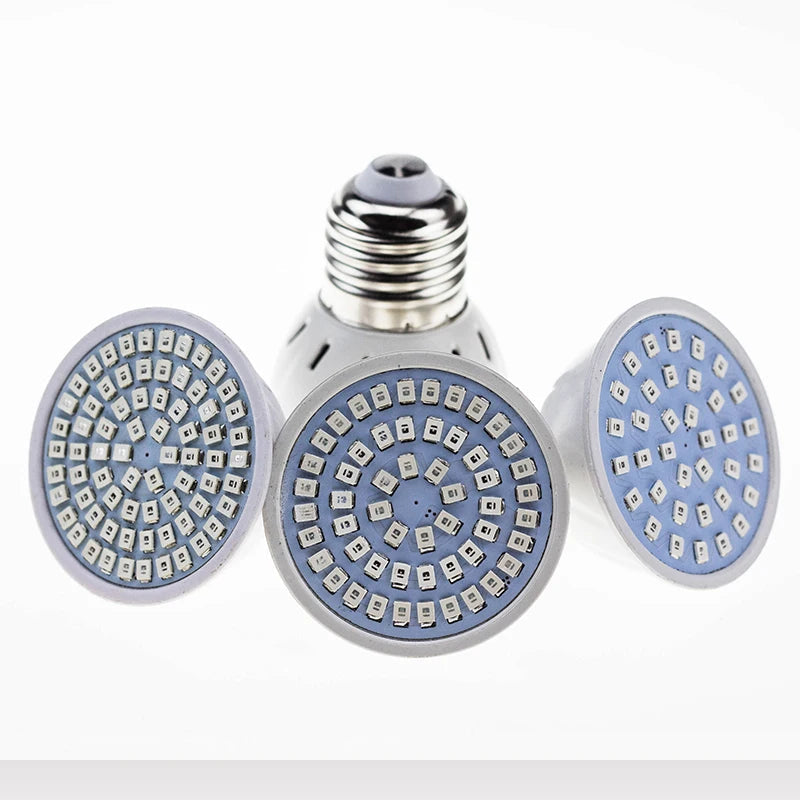 ampoule led à spectre complet pour plantes d'intérieur et hydroponie