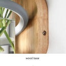 applique-murale-nordique-en-bois-avec-plante-verte-pour-ambiance-chaleureuse-5.png