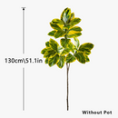 branche-de-banyan-artificielle-avec-feuilles-de-magnolia-pour-d-coration-6.png