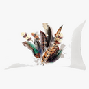 coussin-d-coratif-rectangulaire-motifs-plumes-30-x-50-cm-0.png