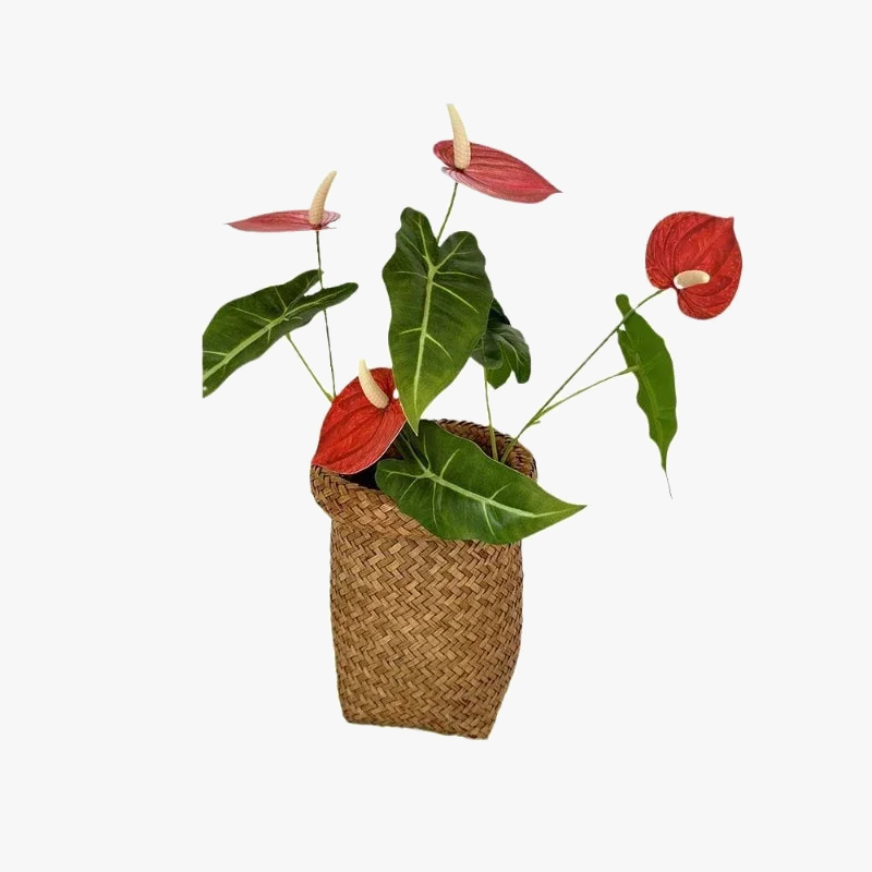 fleurs artificielles anthurium pour décoration de fête et vacances