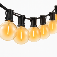 Guirlande lumineuse d'extérieur 100/50/25 pieds
