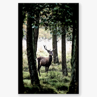 hiver forêt cerf hibou paysage nordique toile décorative murale